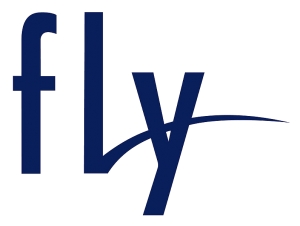 Ремонт Fly в Харькове